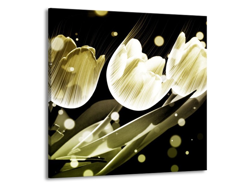 Canvas schilderij Tulp | Wit, Grijs | 50x50cm 1Luik