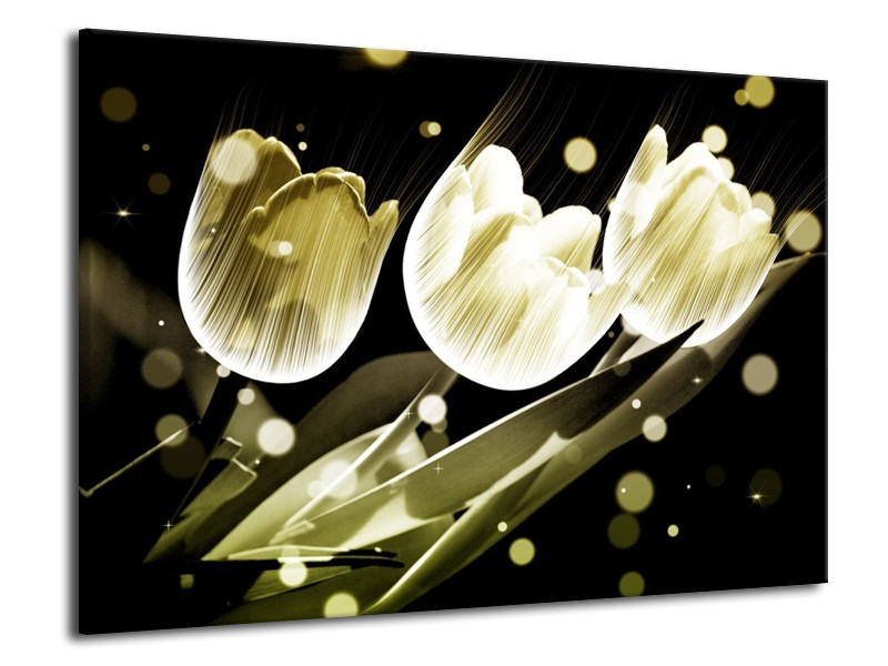 Canvas schilderij Tulp | Wit, Grijs | 70x50cm 1Luik