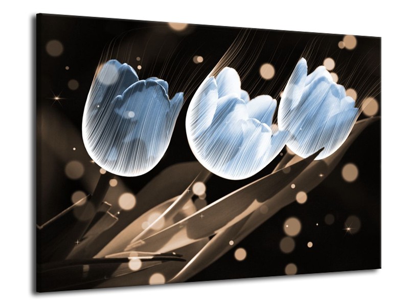 Canvas schilderij Tulp | Blauw, Grijs | 70x50cm 1Luik