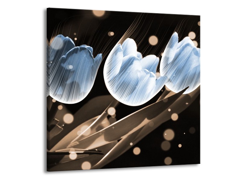 Canvas schilderij Tulp | Blauw, Grijs | 70x70cm 1Luik