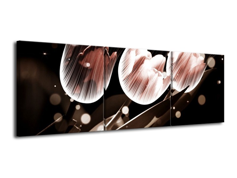 Canvas schilderij Tulp | Wit, Grijs | 120x40cm 3Luik
