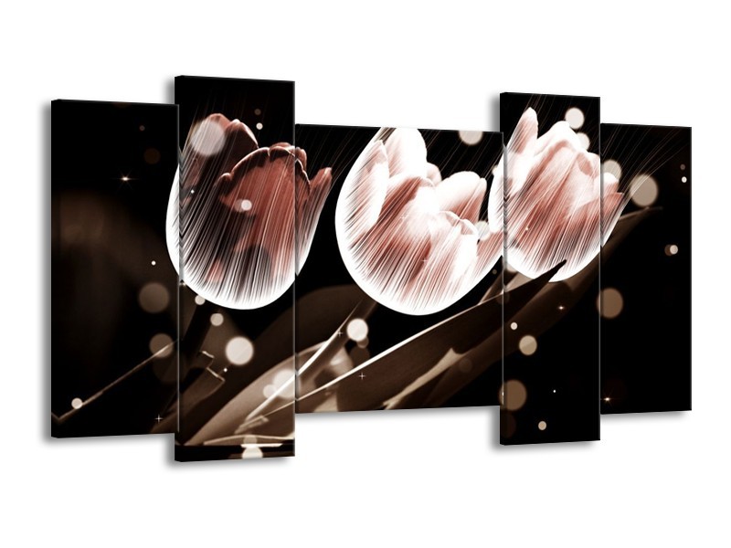 Canvas schilderij Tulp | Wit, Grijs | 120x65 5Luik