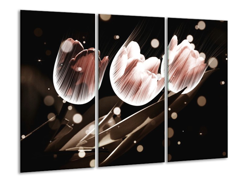 Canvas schilderij Tulp | Wit, Grijs | 120x80cm 3Luik