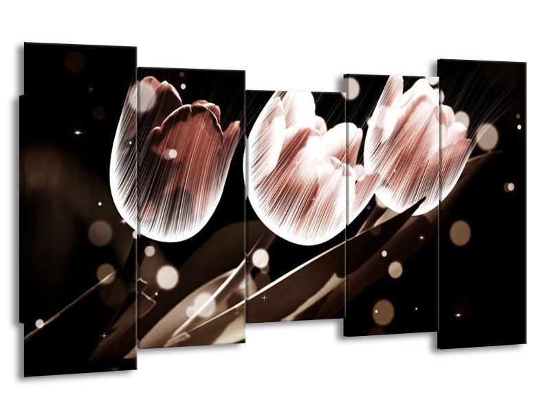 Canvas schilderij Tulp | Wit, Grijs | 150x80cm 5Luik