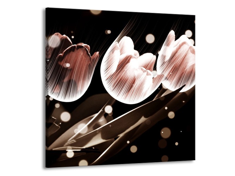 Canvas schilderij Tulp | Wit, Grijs | 50x50cm 1Luik