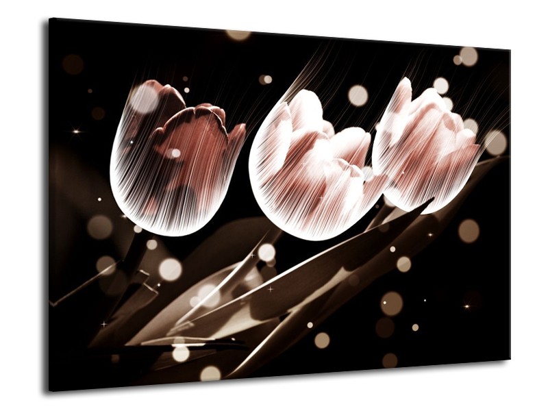 Canvas schilderij Tulp | Wit, Grijs | 70x50cm 1Luik