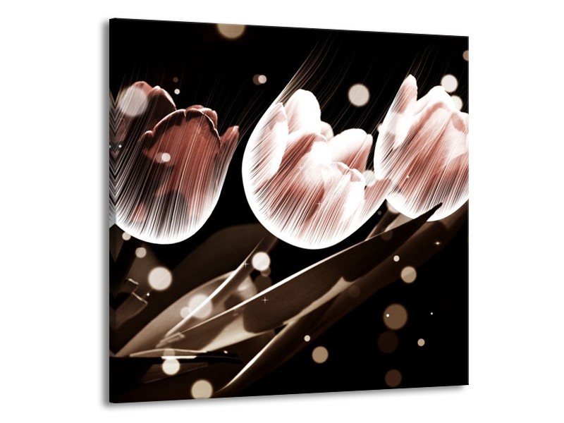 Canvas schilderij Tulp | Wit, Grijs | 70x70cm 1Luik