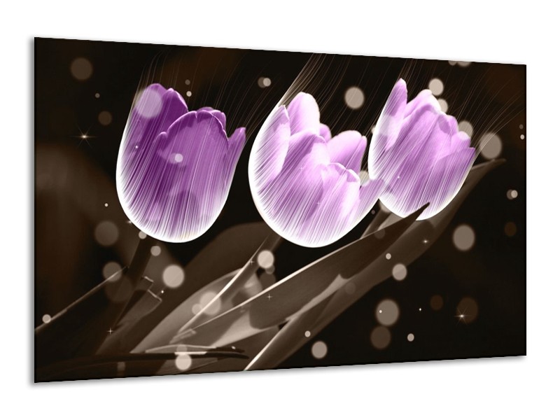 Canvas schilderij Tulp | Paars, Grijs | 120x70cm 1Luik