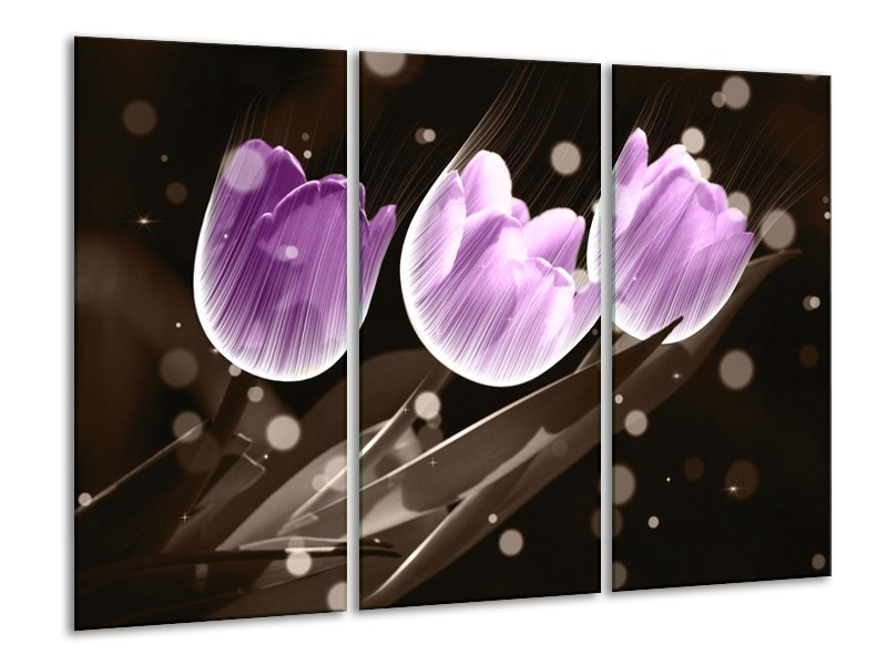 Canvas schilderij Tulp | Paars, Grijs | 120x80cm 3Luik
