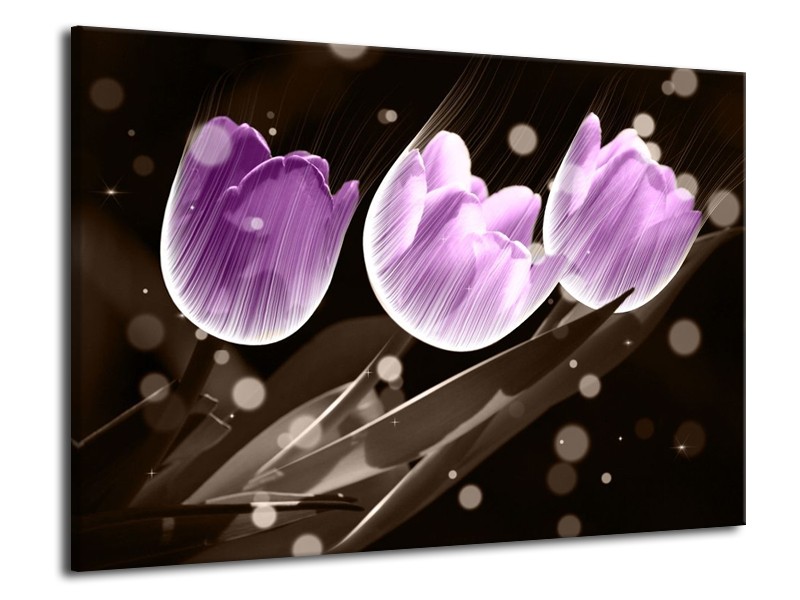 Canvas schilderij Tulp | Paars, Grijs | 70x50cm 1Luik