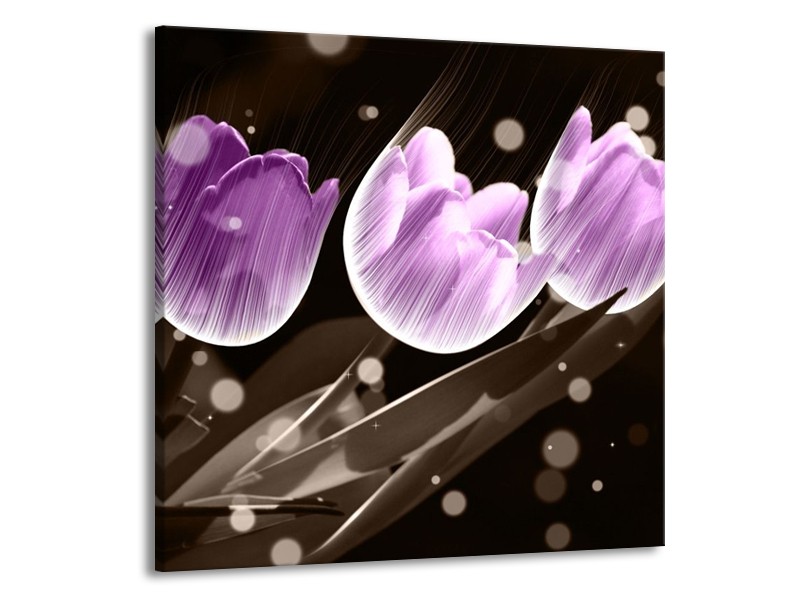 Canvas schilderij Tulp | Paars, Grijs | 70x70cm 1Luik
