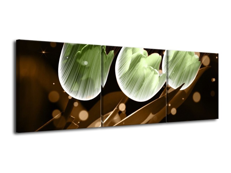 Canvas schilderij Tulp | Bruin, Groen | 120x40cm 3Luik