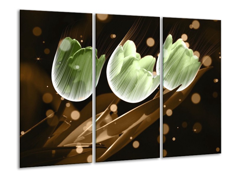 Canvas schilderij Tulp | Bruin, Groen | 120x80cm 3Luik