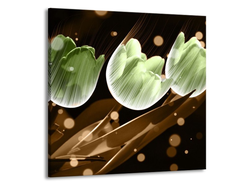 Canvas schilderij Tulp | Bruin, Groen | 50x50cm 1Luik