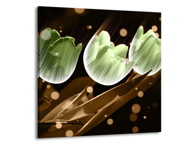 Canvas schilderij Tulp | Bruin, Groen | 70x70cm 1Luik