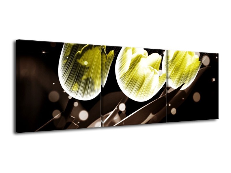 Canvas schilderij Tulp | Geel, Grijs | 120x40cm 3Luik