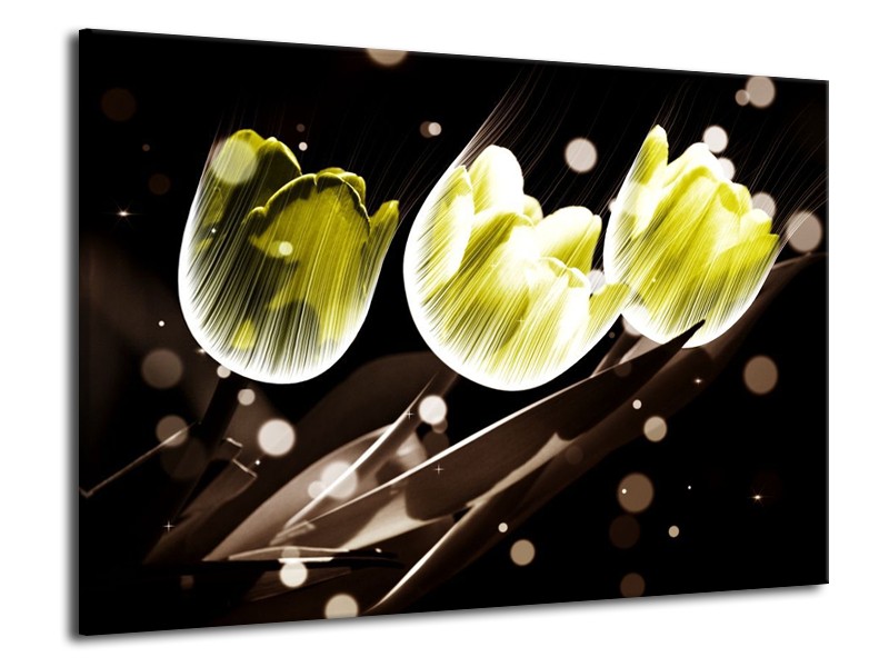 Canvas schilderij Tulp | Geel, Grijs | 70x50cm 1Luik