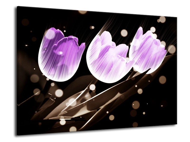 Canvas schilderij Tulp | Paars, Grijs | 70x50cm 1Luik