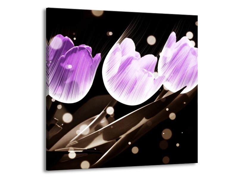 Canvas schilderij Tulp | Paars, Grijs | 70x70cm 1Luik