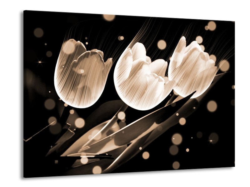 Glas schilderij Tulp | Wit, Zwart, Grijs | 100x70cm 1Luik