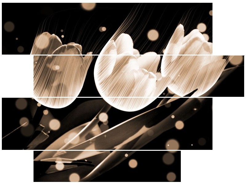 Canvas schilderij Tulp | Wit, Zwart, Grijs | 115x85cm 4Luik