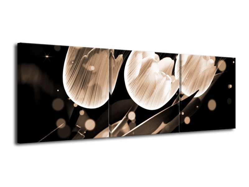 Glas schilderij Tulp | Wit, Zwart, Grijs | 120x40cm 3Luik