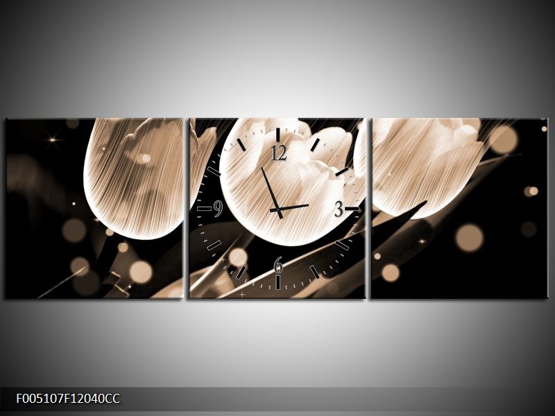 Klok schilderij Tulp | Wit, Zwart, Grijs | 120x40cm 3Luik