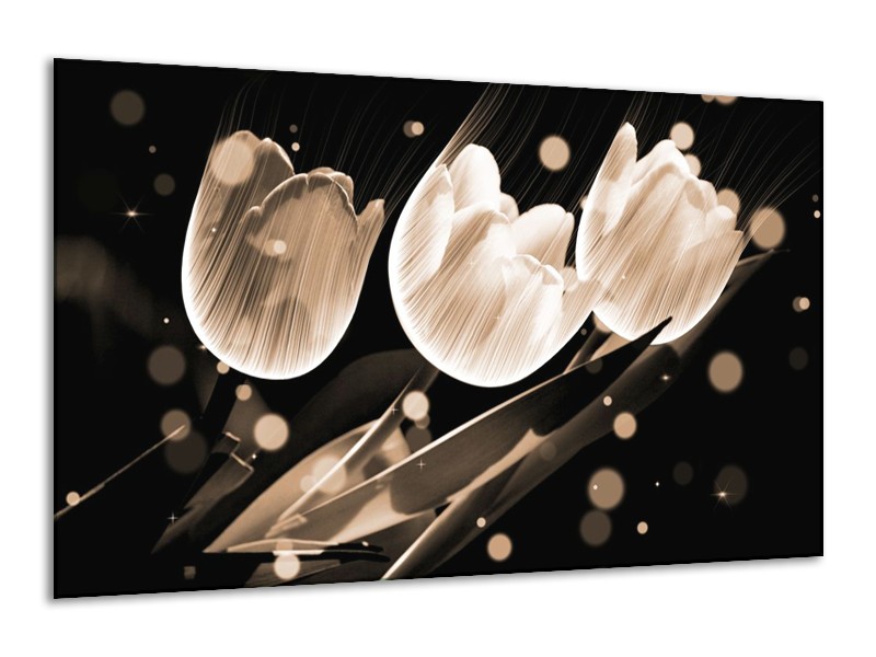 Glas schilderij Tulp | Wit, Zwart, Grijs | 120x70cm 1Luik