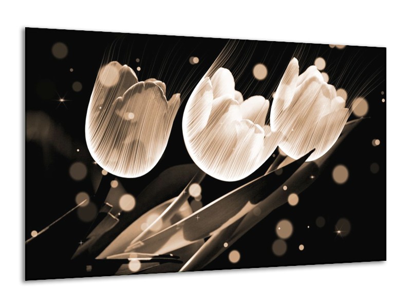 Canvas schilderij Tulp | Wit, Zwart, Grijs | 120x70cm 1Luik