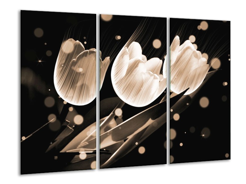Canvas schilderij Tulp | Wit, Zwart, Grijs | 120x80cm 3Luik