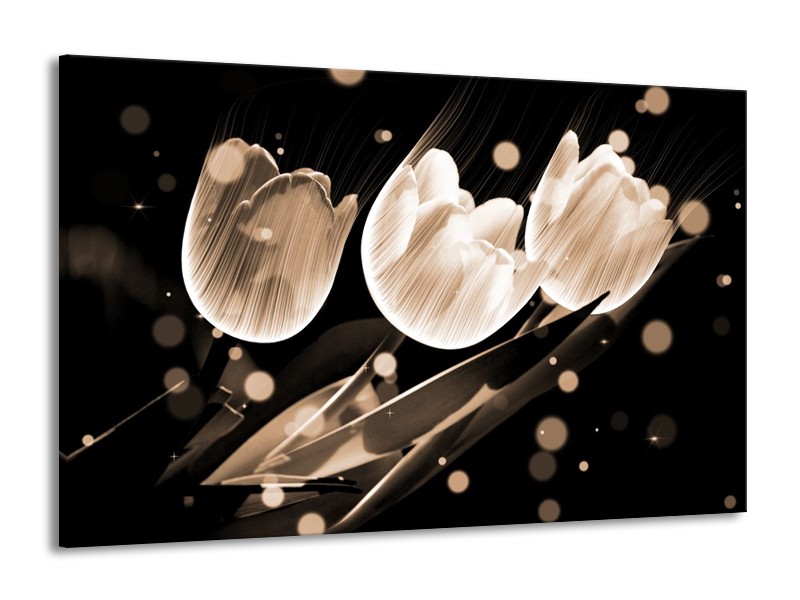 Glas schilderij Tulp | Wit, Zwart, Grijs | 140x90cm 1Luik