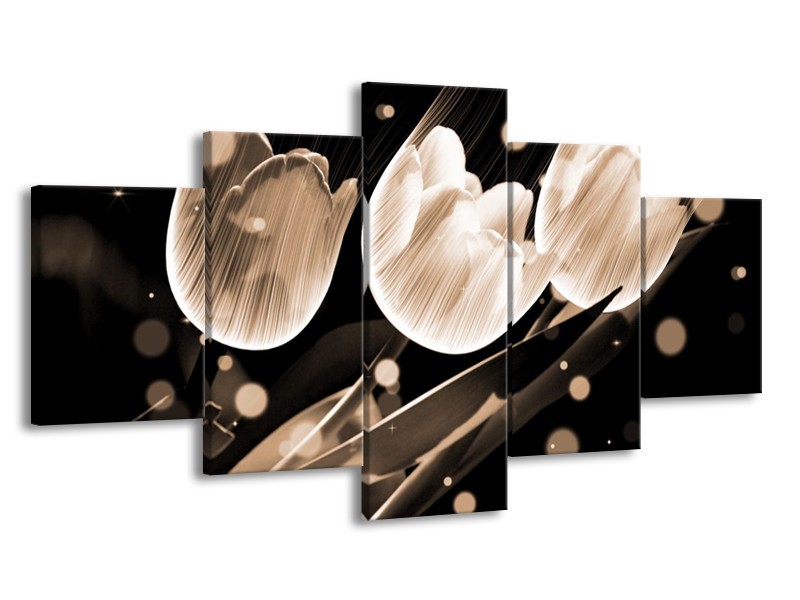 Glas schilderij Tulp | Wit, Zwart, Grijs | 150x80cm 5Luik