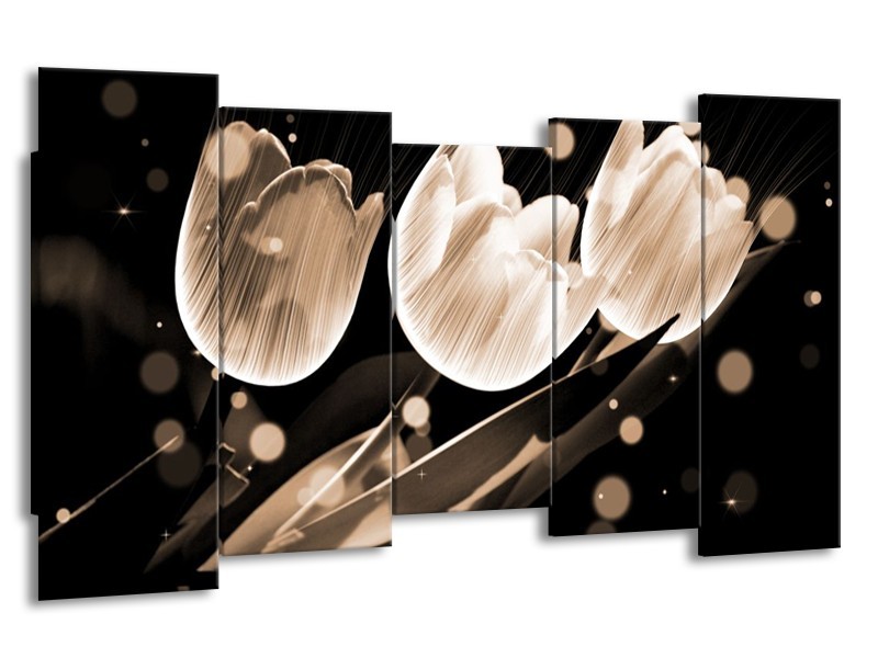 Glas schilderij Tulp | Wit, Zwart, Grijs | 150x80cm 5Luik