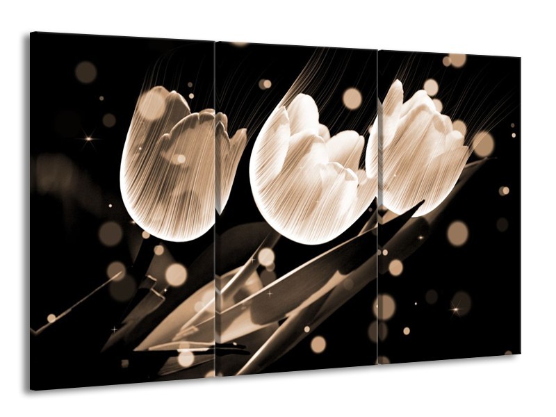 Canvas schilderij Tulp | Wit, Zwart, Grijs | 165x100cm 3Luik