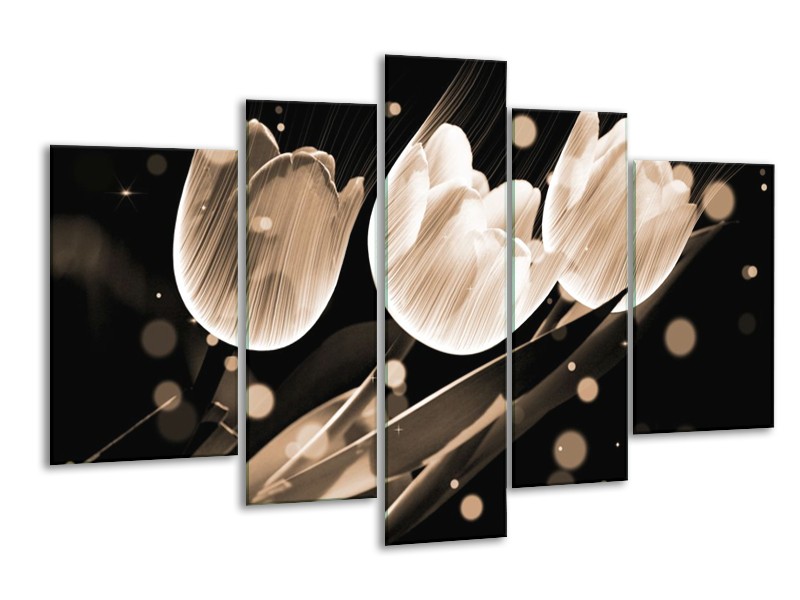 Glas schilderij Tulp | Wit, Zwart, Grijs | 170x100cm 5Luik