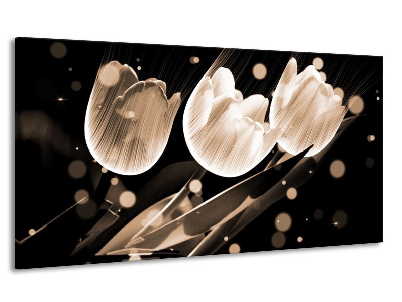 Canvas schilderij Tulp | Wit, Zwart, Grijs | 170x90cm 1Luik