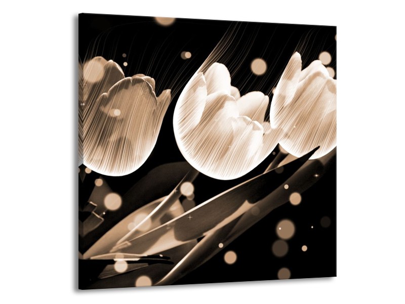 Glas schilderij Tulp | Wit, Zwart, Grijs | 50x50cm 1Luik