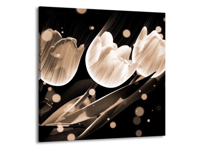 Canvas schilderij Tulp | Wit, Zwart, Grijs | 70x70cm 1Luik