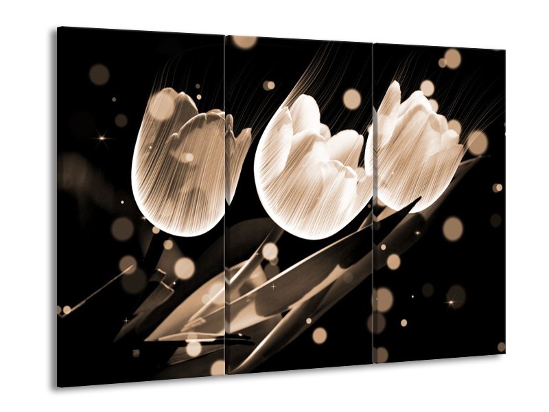 Glas schilderij Tulp | Wit, Zwart, Grijs | 90x60cm 3Luik