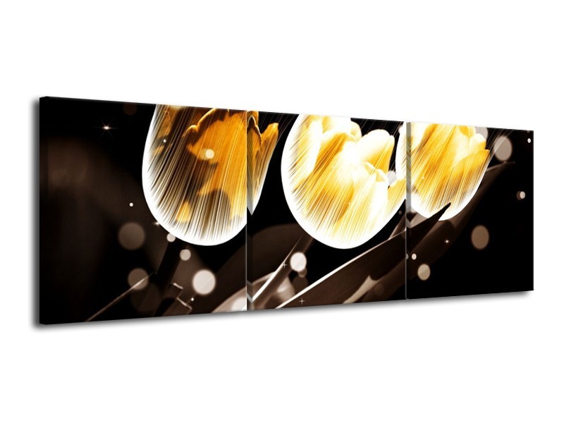 Canvas schilderij Tulp | Geel, Zwart | 120x40cm 3Luik