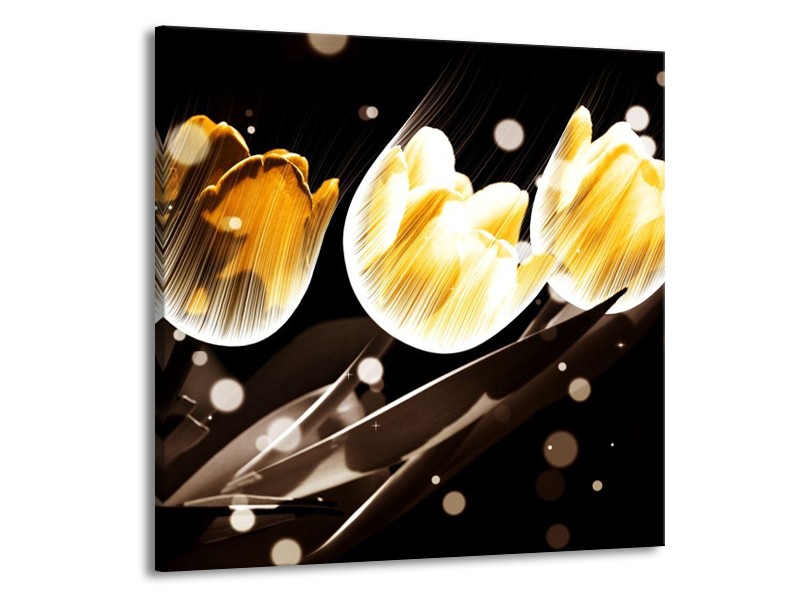 Canvas schilderij Tulp | Geel, Zwart | 70x70cm 1Luik