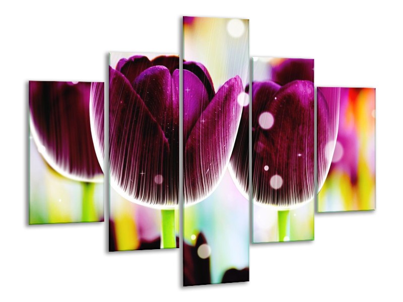Canvas schilderij Tulp | Paars, Geel, | 100x70cm 5Luik