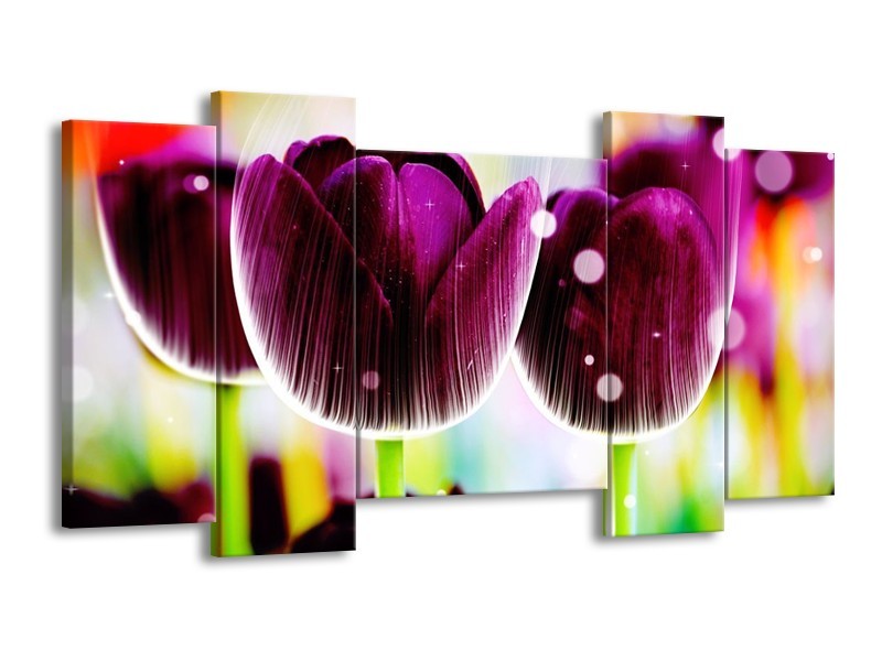 Canvas schilderij Tulp | Paars, Geel, | 120x65 5Luik