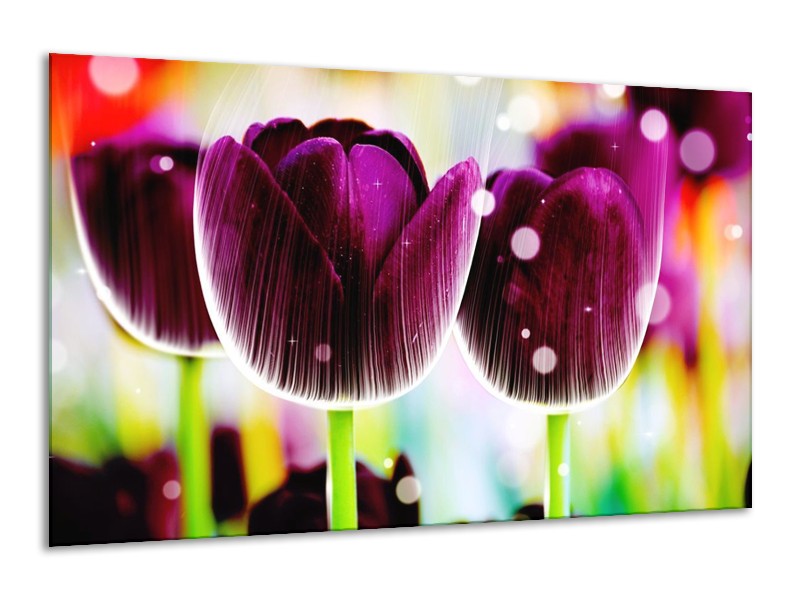 Canvas schilderij Tulp | Paars, Geel, | 120x70cm 1Luik