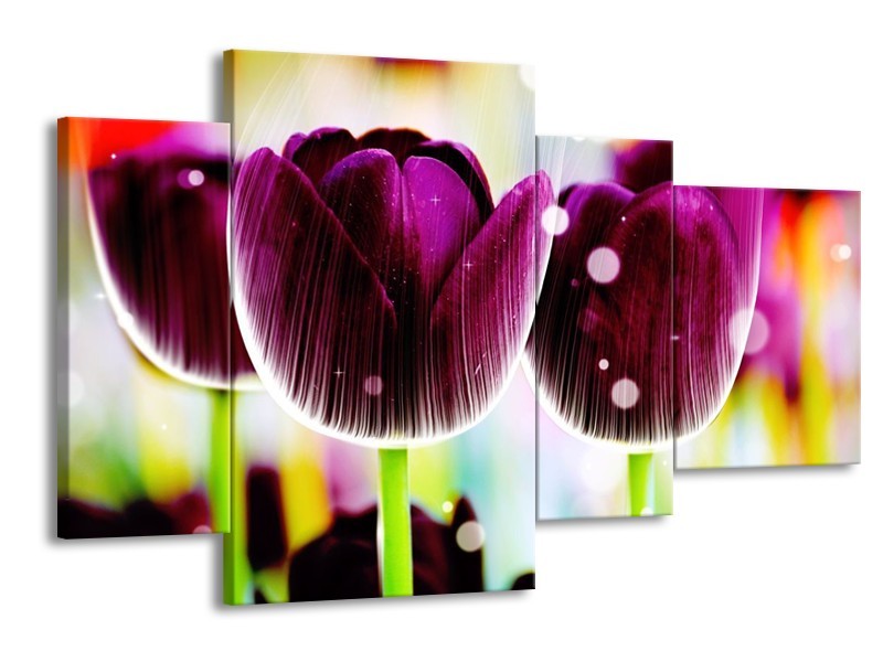 Canvas schilderij Tulp | Paars, Geel, | 120x75cm 4Luik