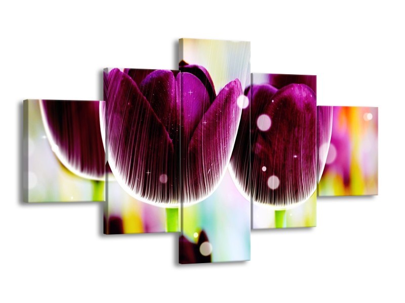 Canvas schilderij Tulp | Paars, Geel, | 125x70cm 5Luik