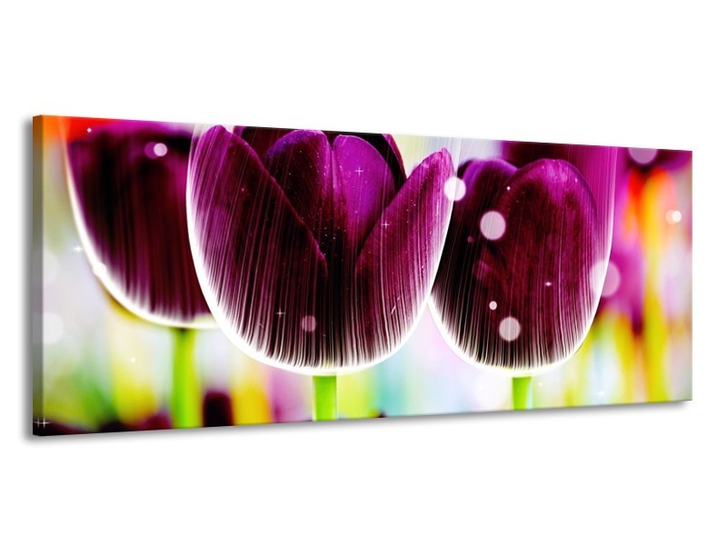 Canvas schilderij Tulp | Paars, Geel, | 145x58cm 1Luik
