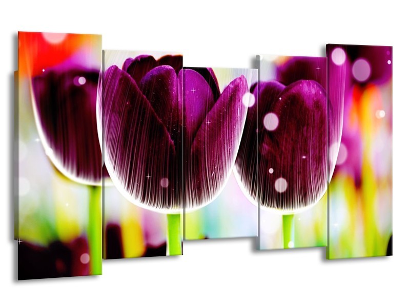 Canvas schilderij Tulp | Paars, Geel, | 150x80cm 5Luik