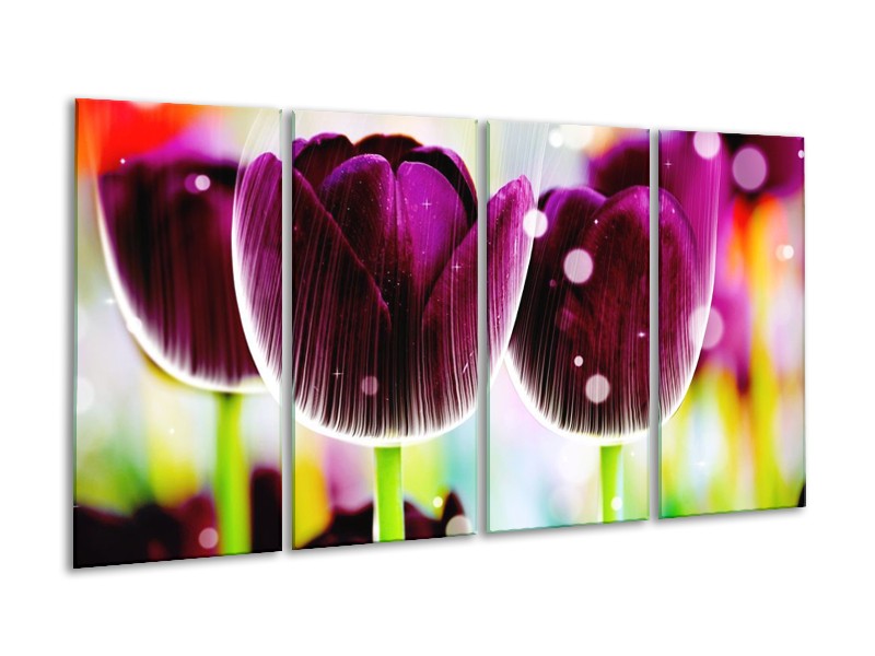 Canvas schilderij Tulp | Paars, Geel, | 160x80cm 4Luik
