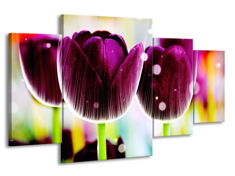 Canvas schilderij Tulp | Paars, Geel, | 160x90cm 4Luik